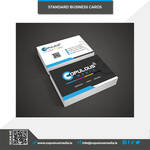 Standard Business Cards